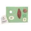 Kit de costura DIY ARNOLD THE AVOCADO | Oli&Carol - Imagen 3