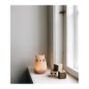Luz Nocturna Gato Rosa | Liewood - Imagen 2