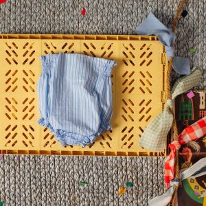 Culetin Alto Raya Azulada | Birinit Petit