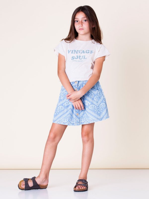 Falda Mini Chambray Print Bandana | Tocoto Vintage