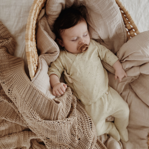 Conjunto Camiseta y Polaina Aloe | North Baby