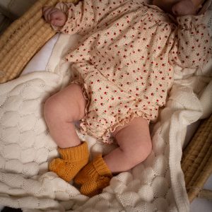 Culetín Alto Nasáu | Birinit Petit